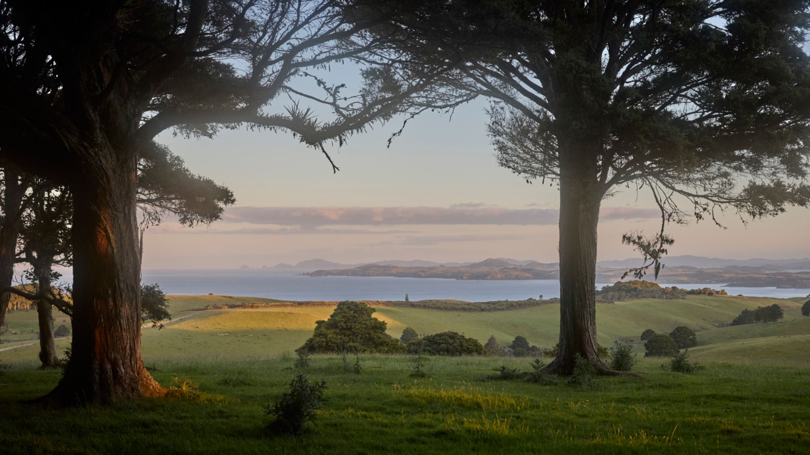 Scenic views of the property out to the ocean